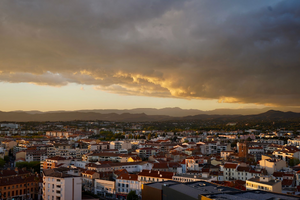 Fleuriste Perpignan
