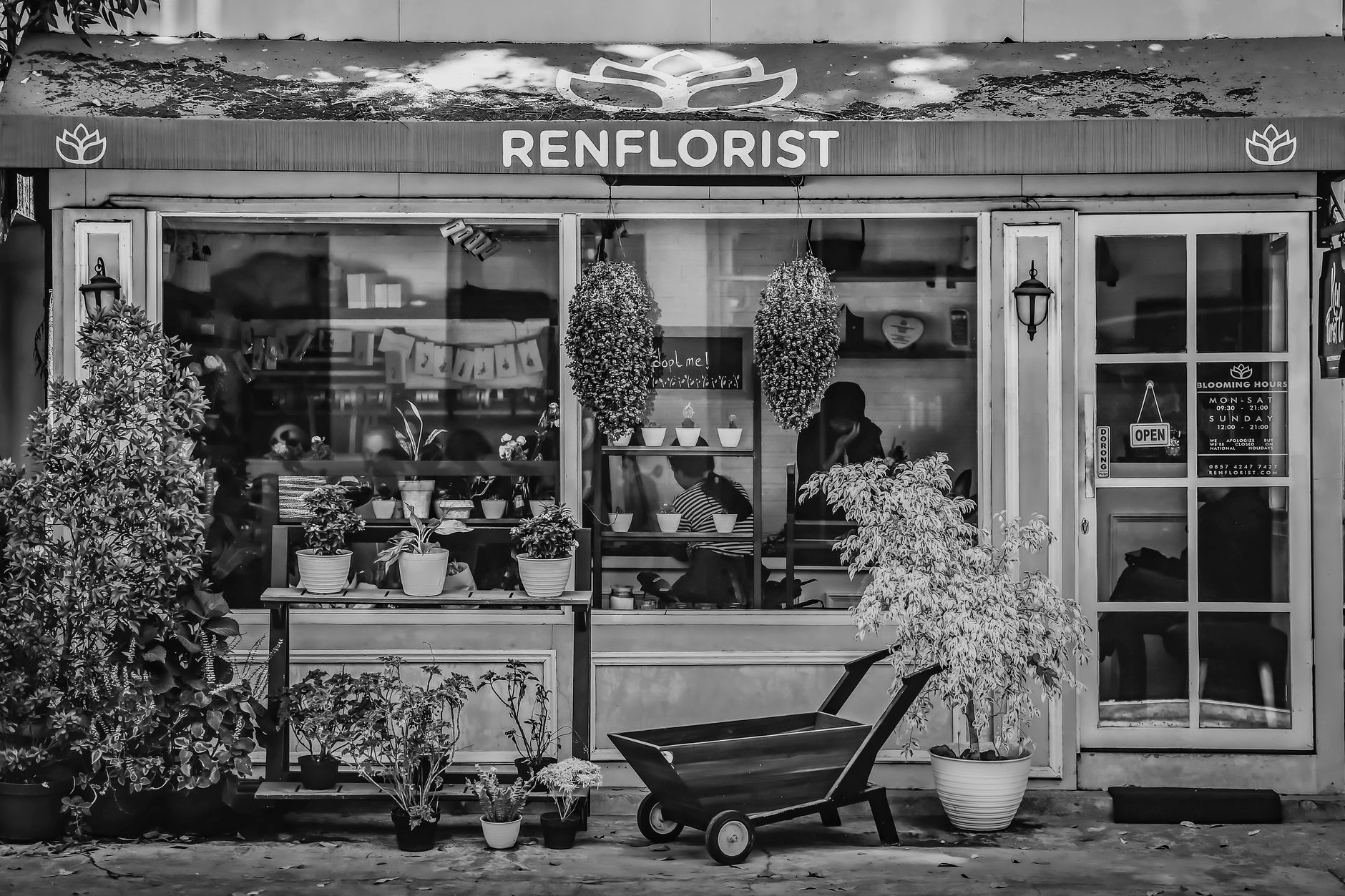 Fleuriste à Perpignan